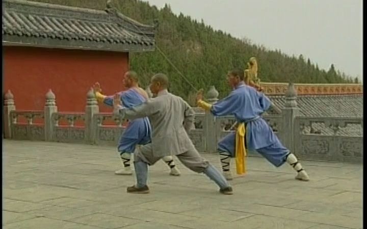 [图]少林小洪拳（下）