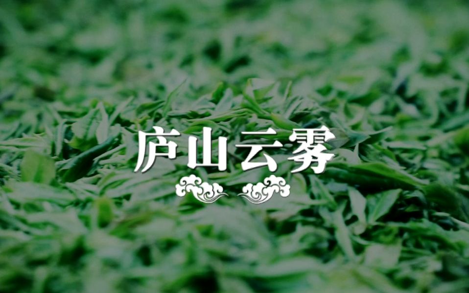 《浔城记》庐山云雾茶,九江人值得骄傲!哔哩哔哩bilibili