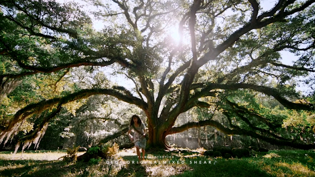 沼泽深处的女孩