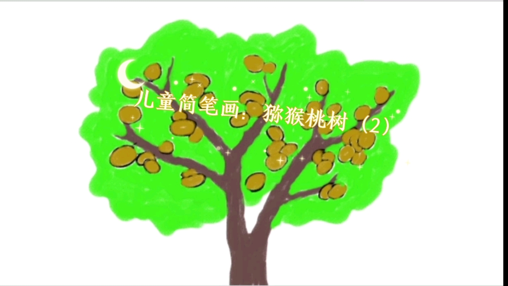 儿童简笔画:猕猴桃树(2)