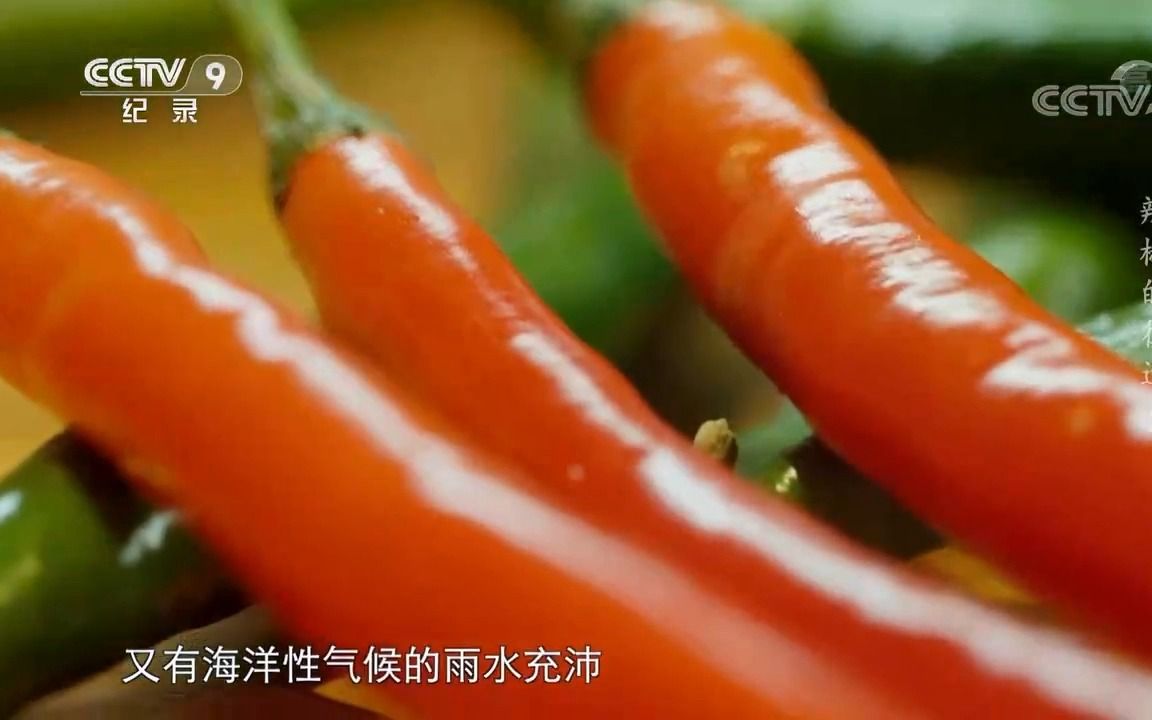 辣的多样性 四川 湖南哔哩哔哩bilibili