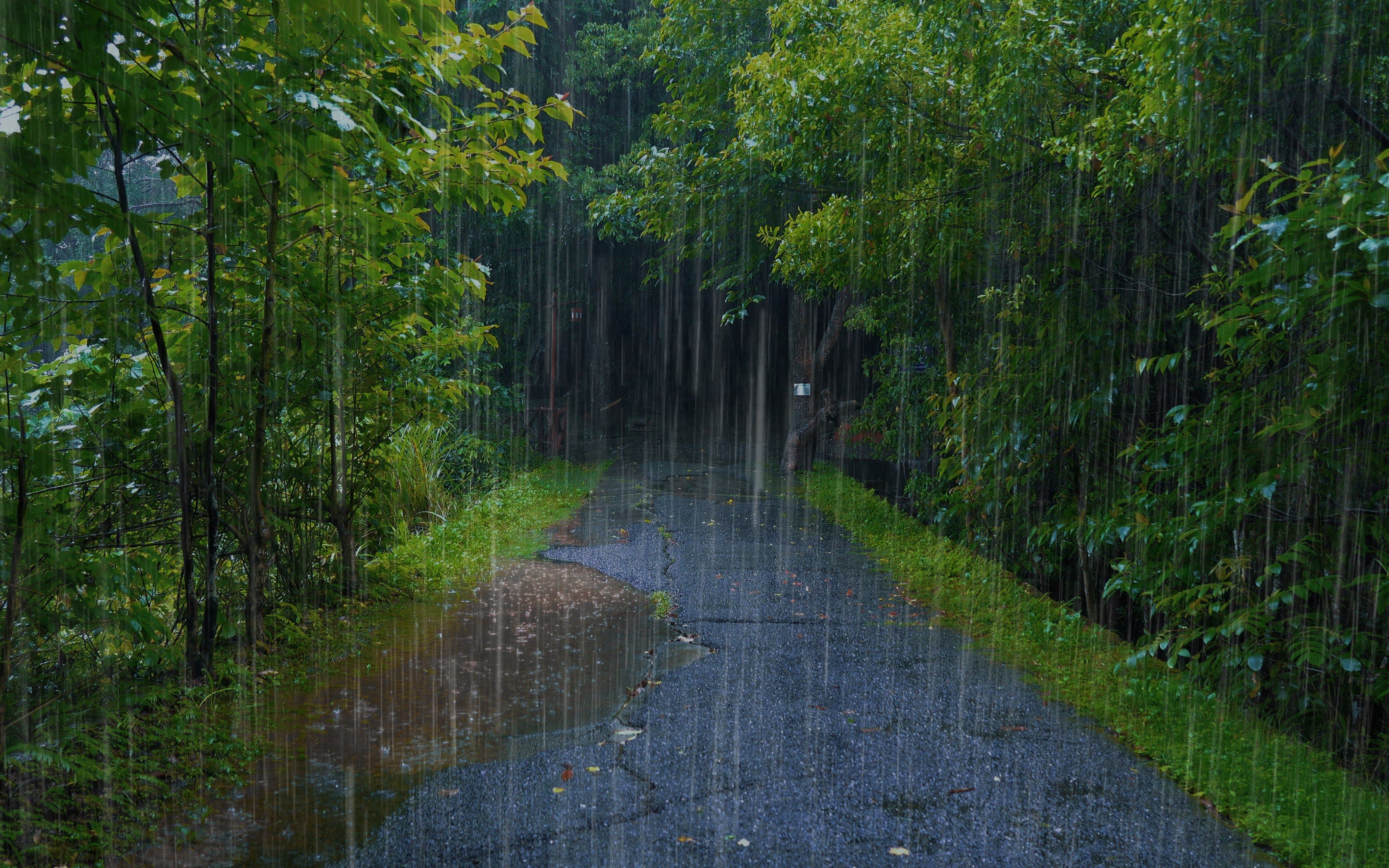 雨声助眠大自然的声音,深度睡眠白噪音纯雨声,治疗失眠的下雨声,60秒