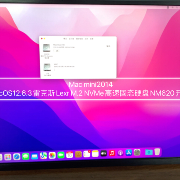 Mac mini2014升级MacOS12.6.3雷克斯Lexr M.2 NVMe高速固态硬盘NM620