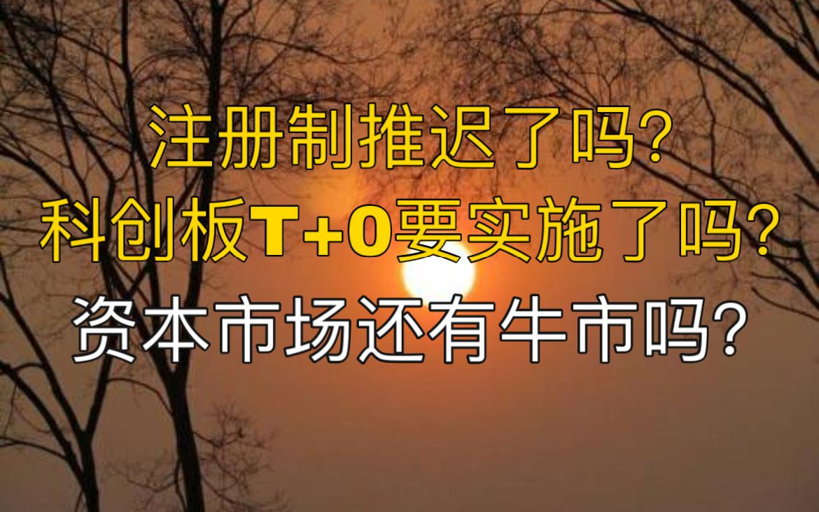 注册制推迟了吗? 科创板T+0要实施了吗? 资本市场还有牛市吗?哔哩哔哩bilibili