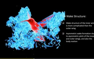 Скачать видео: CFD欣赏27 蜂鸟机动飞行中的不对称涡流