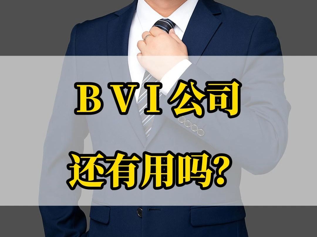 BVI公司是百分百隐藏信息吗?哔哩哔哩bilibili