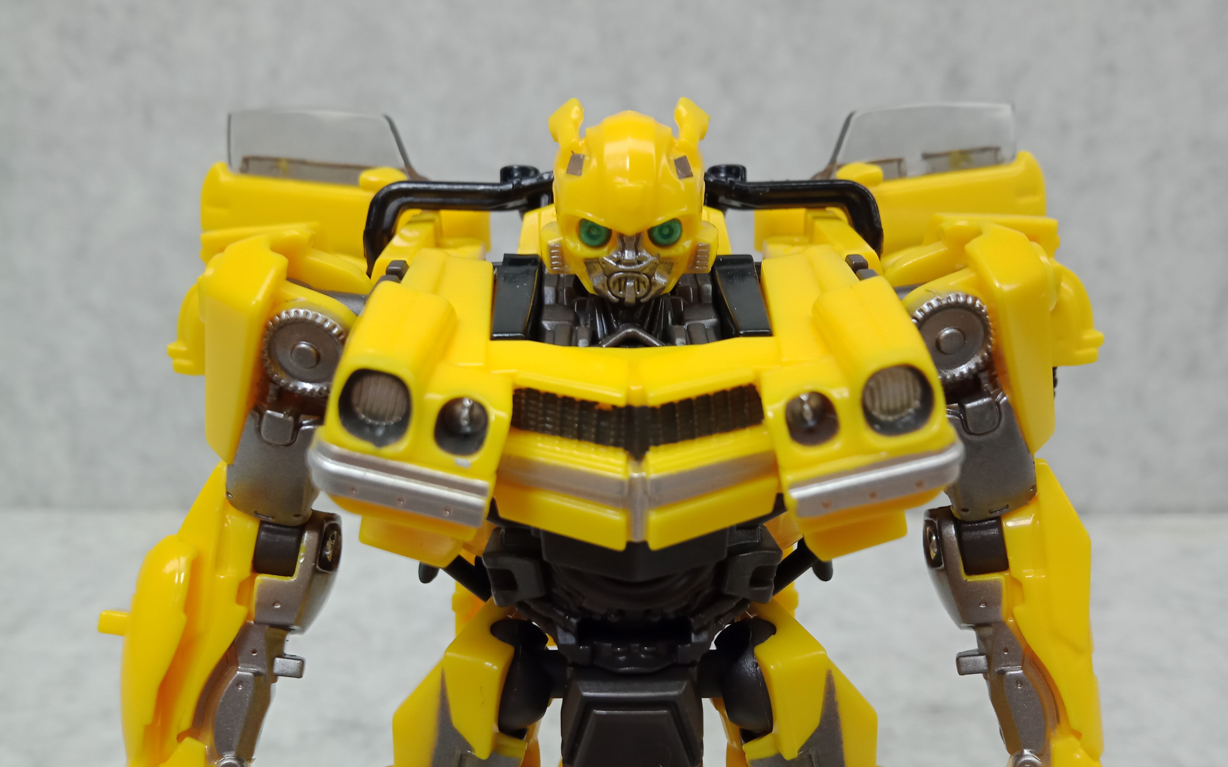 ss大黄蜂初体验