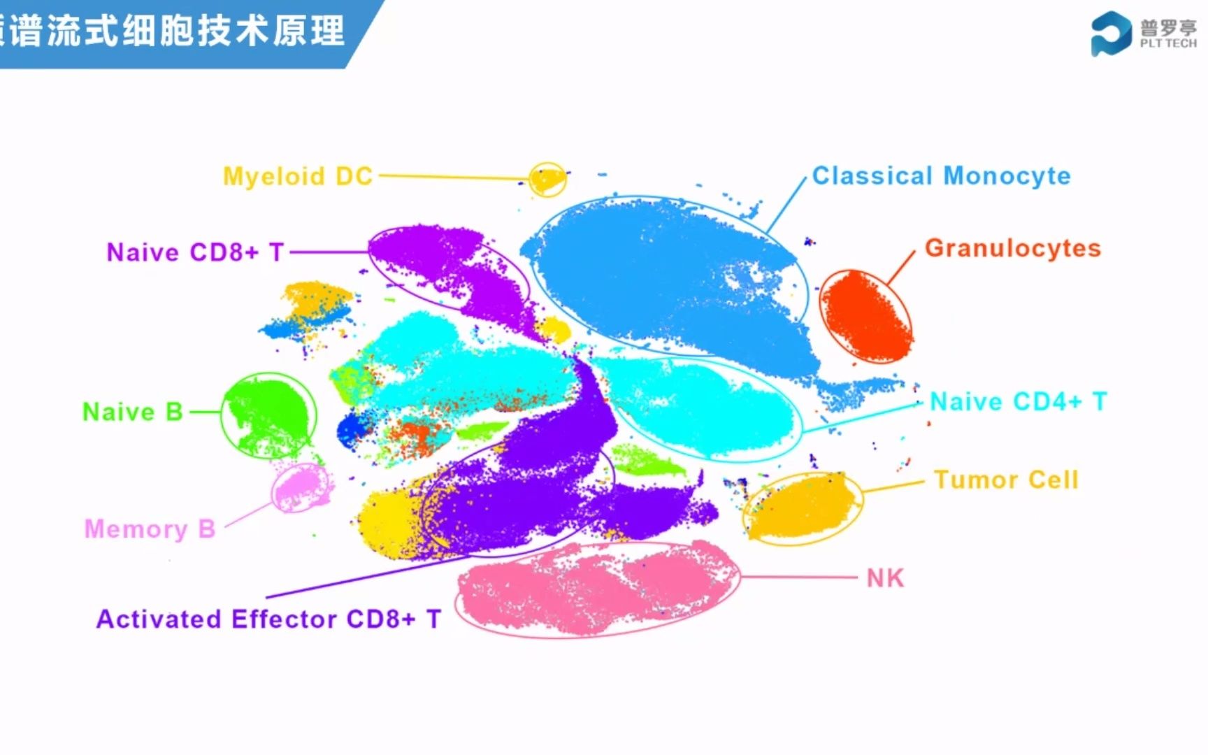 2022.6.16质谱流式技术原理哔哩哔哩bilibili