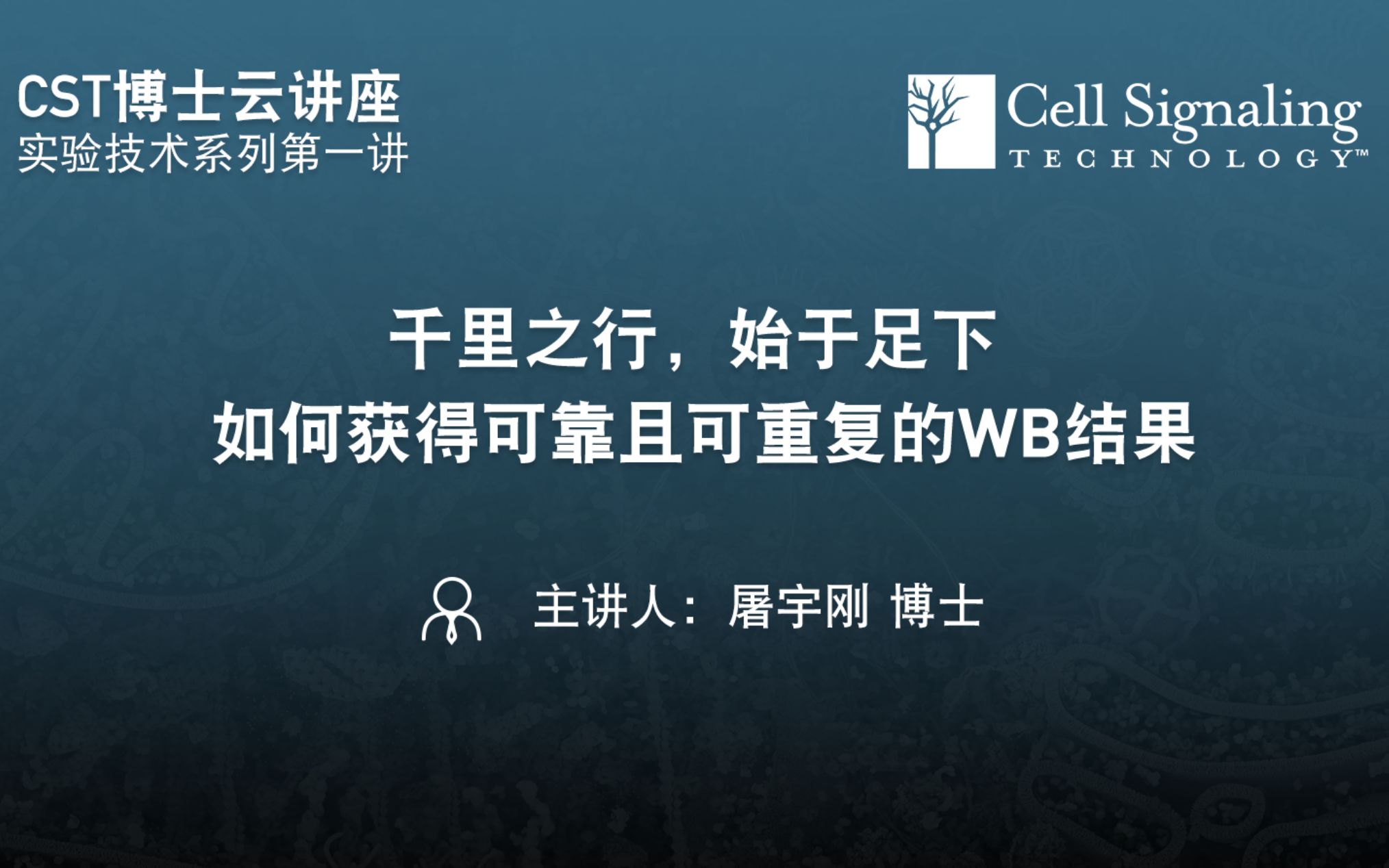 Reliable and Reproducible Western Blot Results