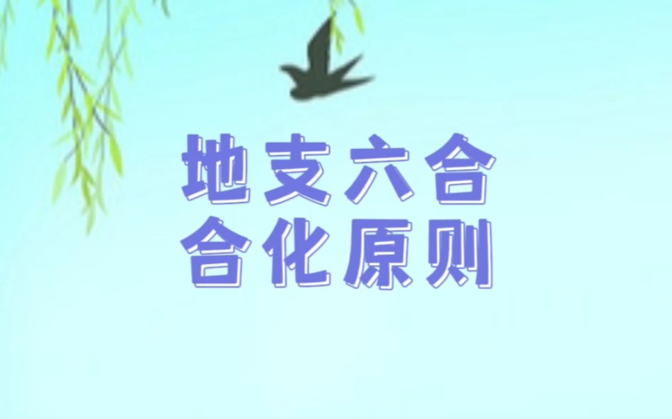 地支六合的合化原则哔哩哔哩bilibili