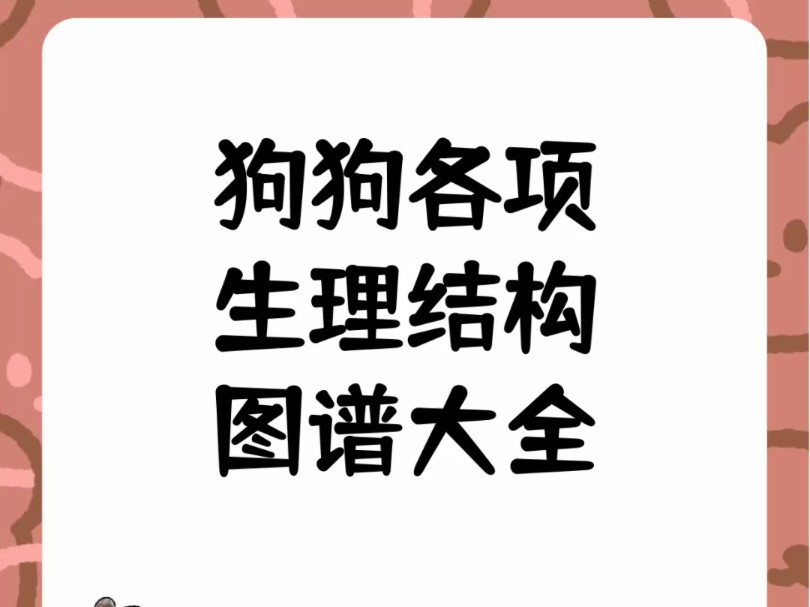 狗狗各项生理结构图谱大全哔哩哔哩bilibili