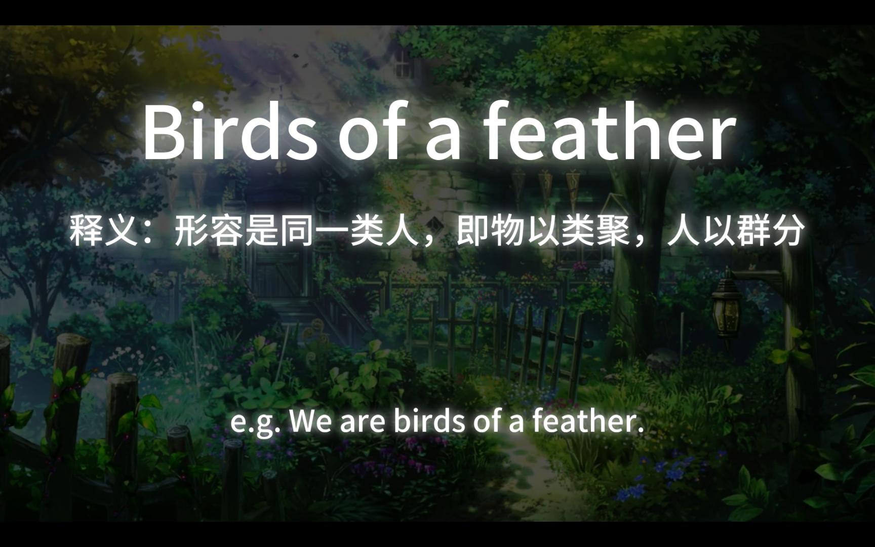 【英文表达】day22——birds of a feather