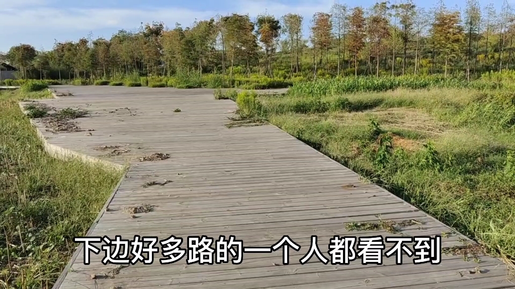 南京地铁S2号线马鞍山段目前浇筑最长的路段在慈湖开发区哔哩哔哩bilibili