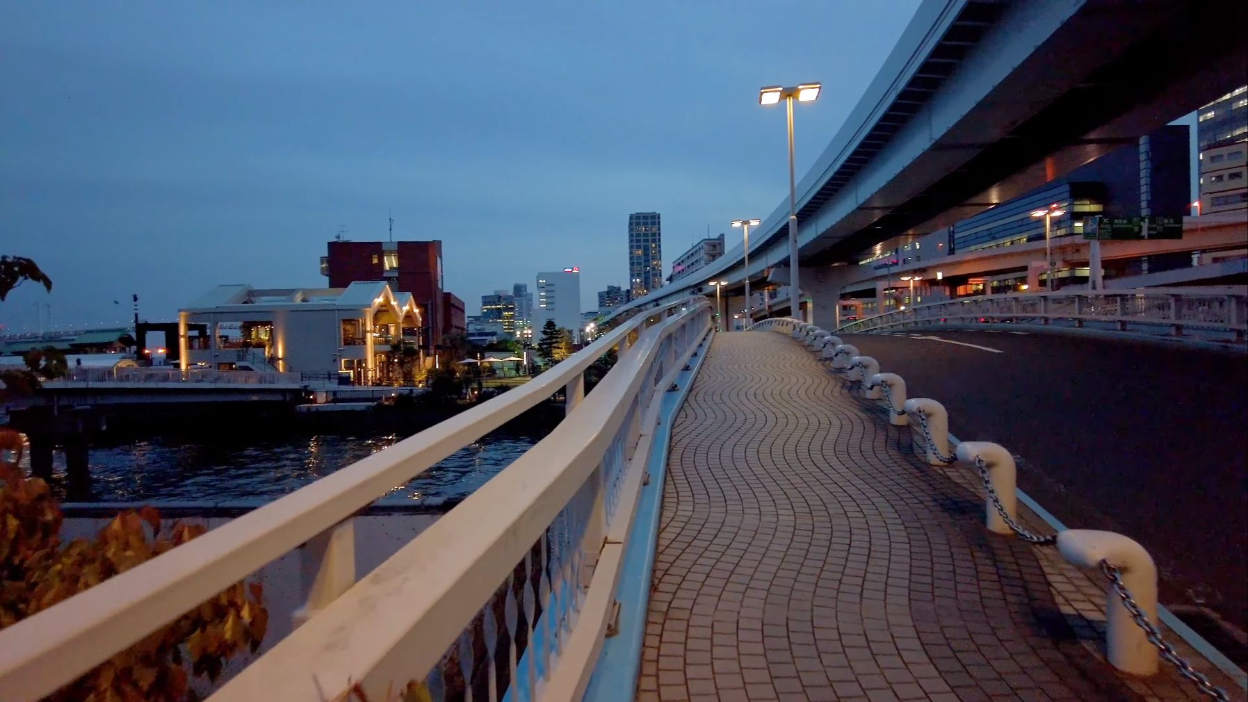 【4k】东京竹芝埠头99竹芝栈桥夜景漫步 日本街景> 东京>
