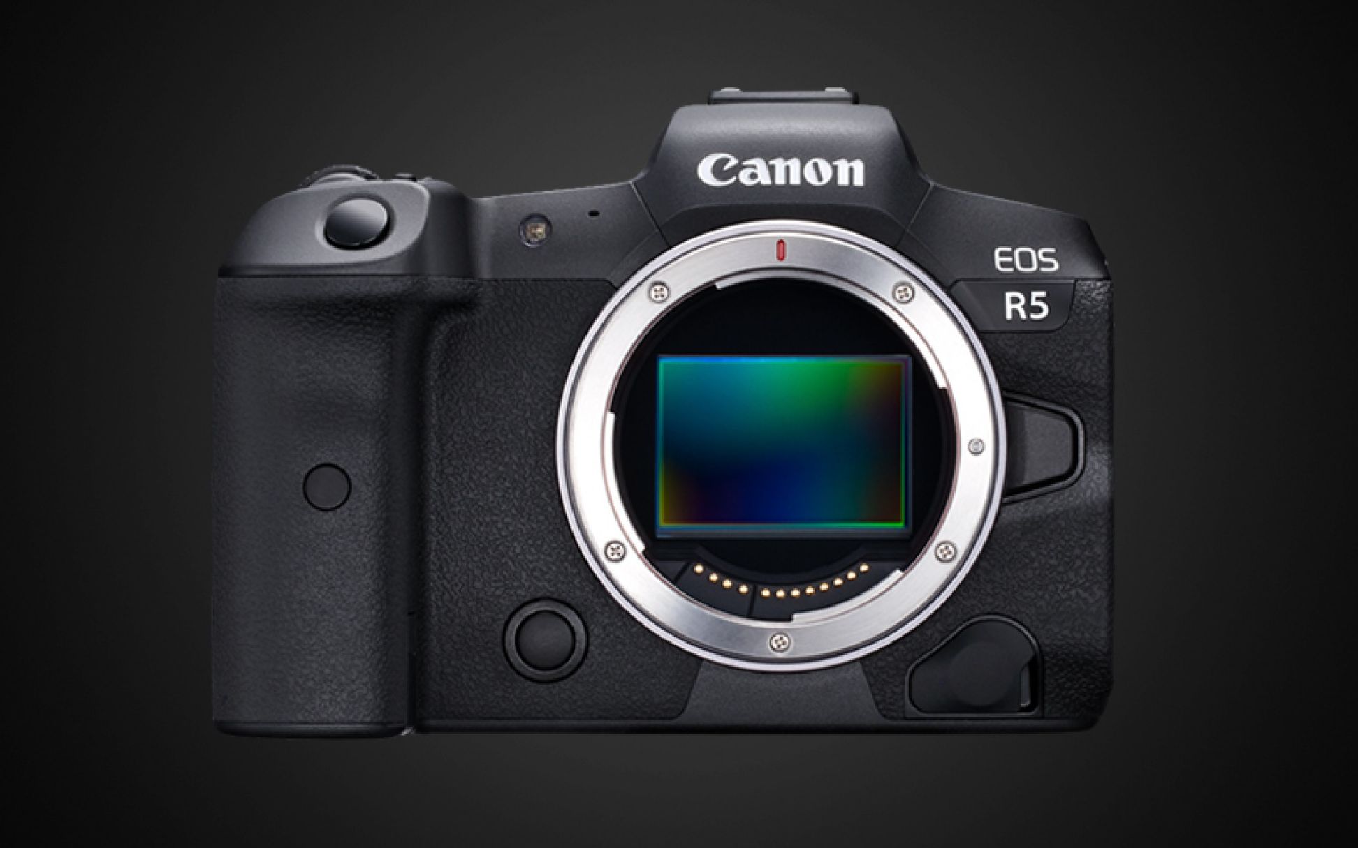 eosr5史上最强动物眼对焦克苏恩也能眼部追踪