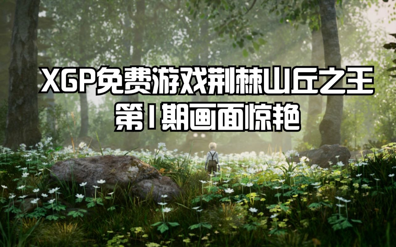 [图]XGP免费游戏荆棘山丘之王全流程：第1期画面惊艳