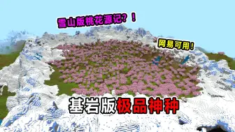 Descargar video: 我的世界：3个网易基岩版极品种子！雪山版桃花源！完美地形！