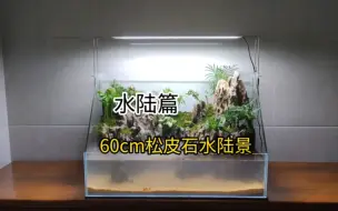 Download Video: 【代号7】60cm松皮石水陆景-造景过程