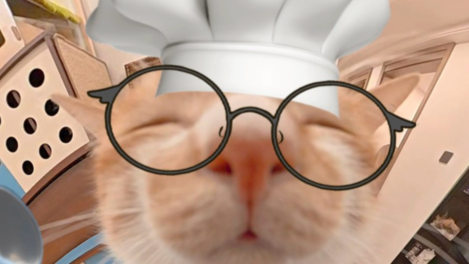 来听凑凑的小猫叫