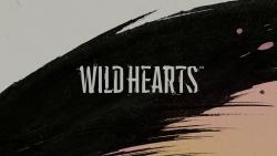 狂野之心(WILD HEARTS)13单机游戏热门视频