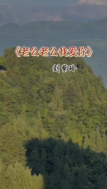 老公老公我爱你