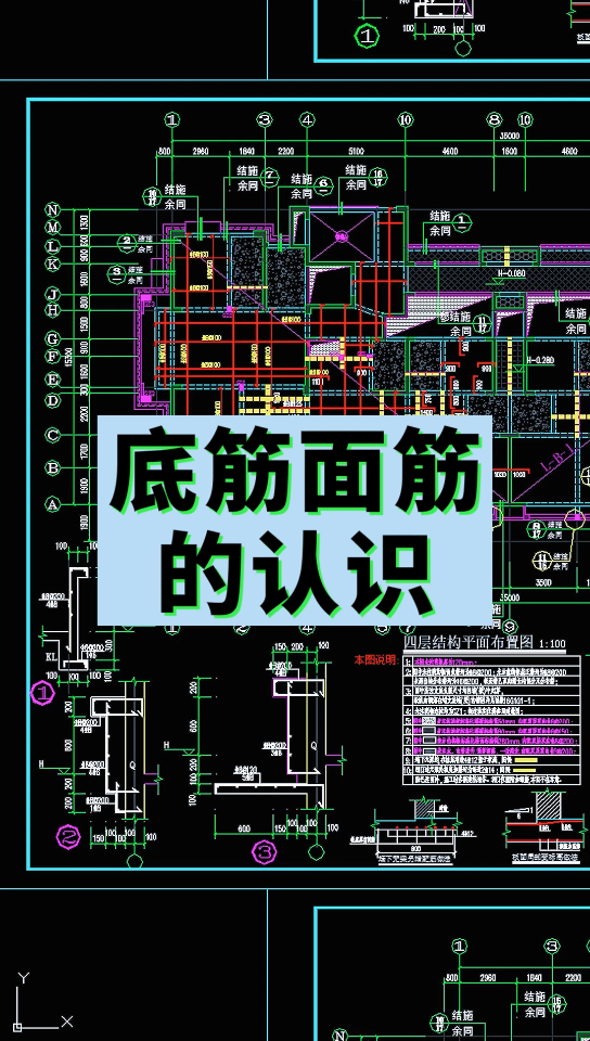 底筋面筋的认识哔哩哔哩bilibili