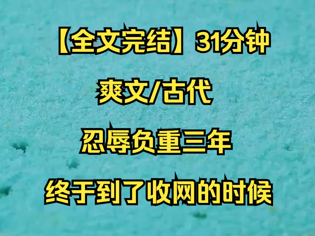 【全文完结】忍辱负重三年,终于到了收网的时候,我那本来信誓旦旦让给她的皇后哔哩哔哩bilibili