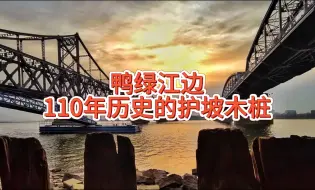 Download Video: 110多年的鸭绿江护坡木桩你见过吗