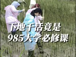 Download Video: 田间劳作竟然是985大学生的必修课？还有学分？华中科技大学哲学院学生们，到谦益虚心谷基地参加耕读实践，播下农耕的种子，等待发芽🌱#生态农业@华中科技大学