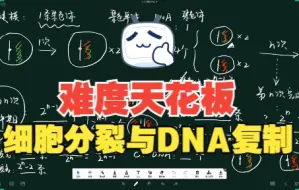 Download Video: 20221105_DNA复制与细胞分裂难度天花板