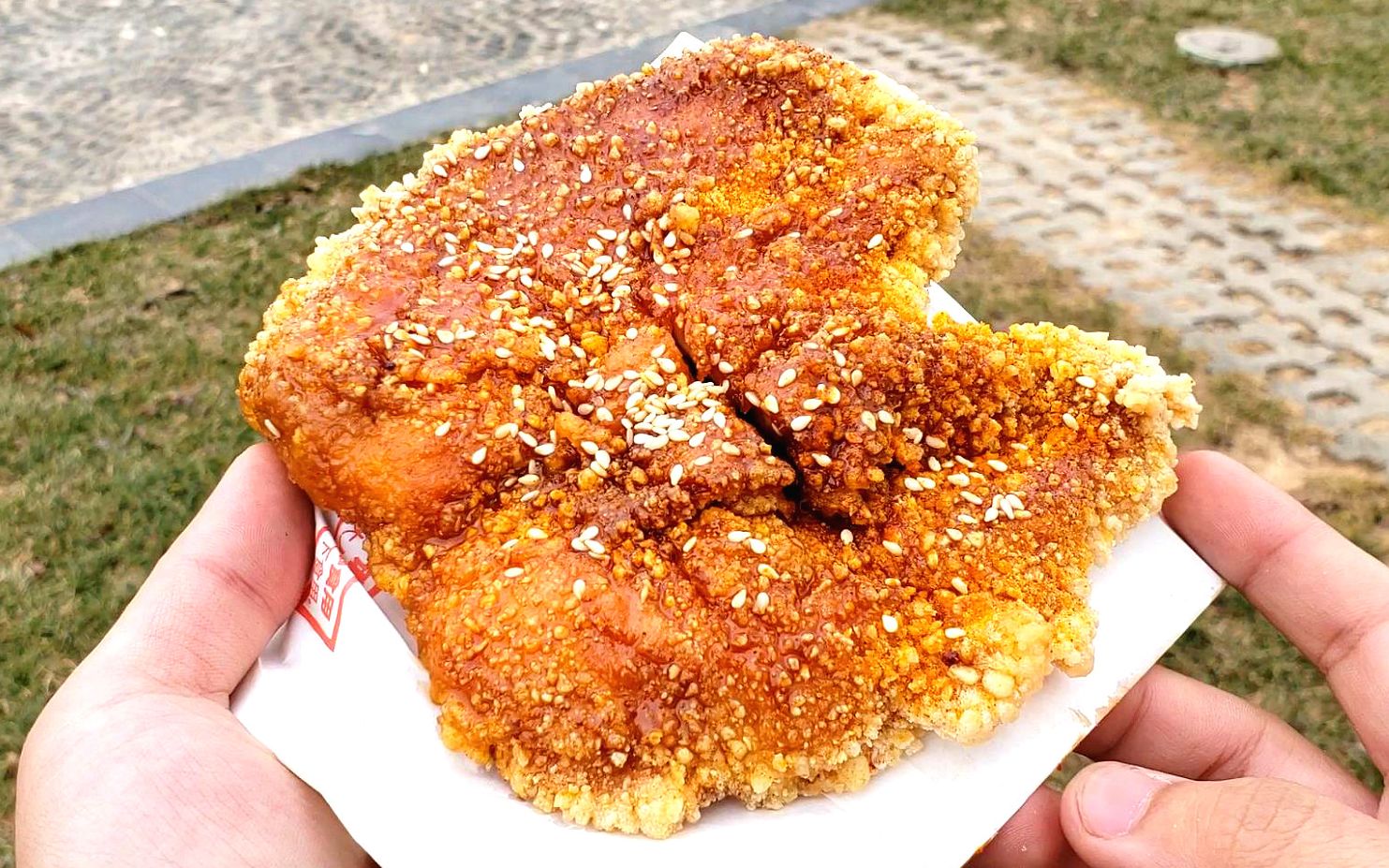 这是新出的碳烤鸡排?12块钱一份,口感很不错啊