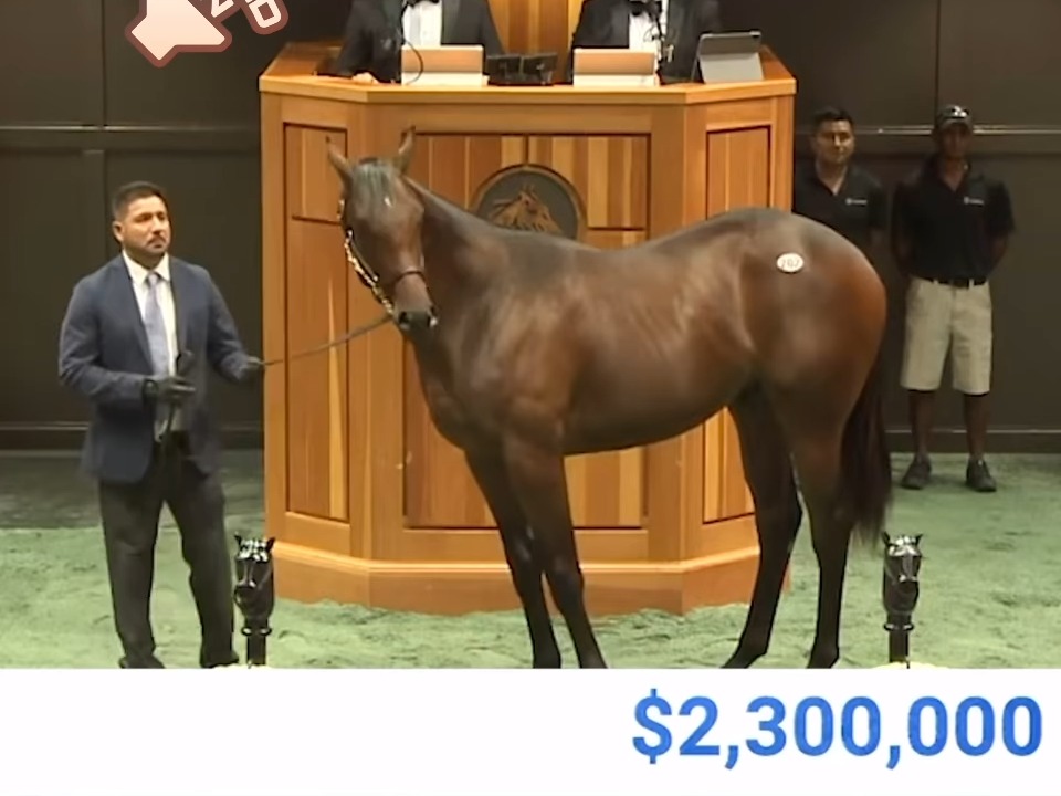 sierra leone周岁拍卖