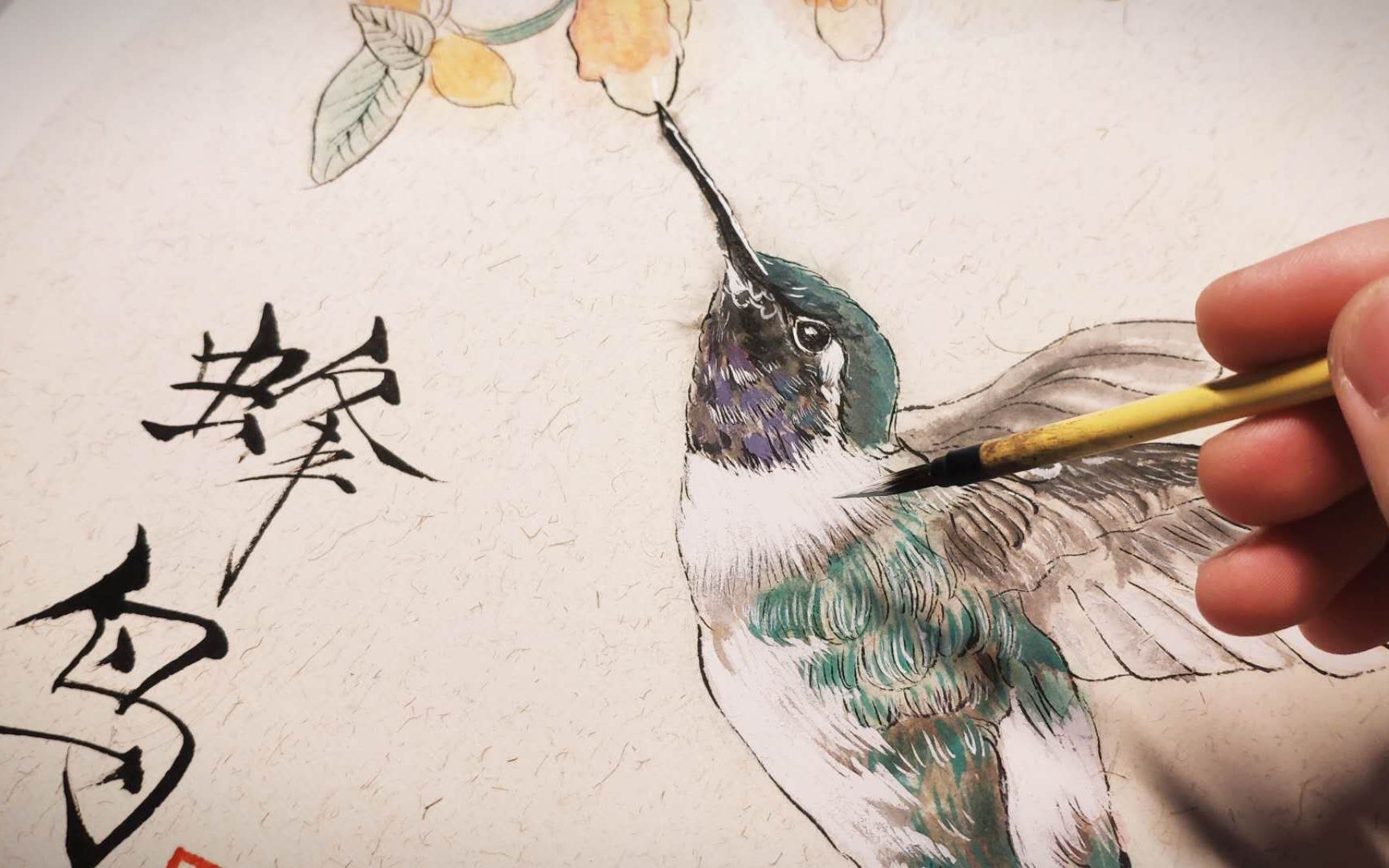 铭记手绘在青峰小哥哥的bgm里画只可爱的蜂鸟工笔画初体验