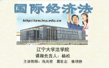 国际经济法学辽宁大学主讲杨松 45讲哔哩哔哩bilibili