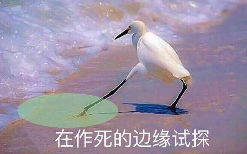 [图]母体：“你是来扫描的吧？”