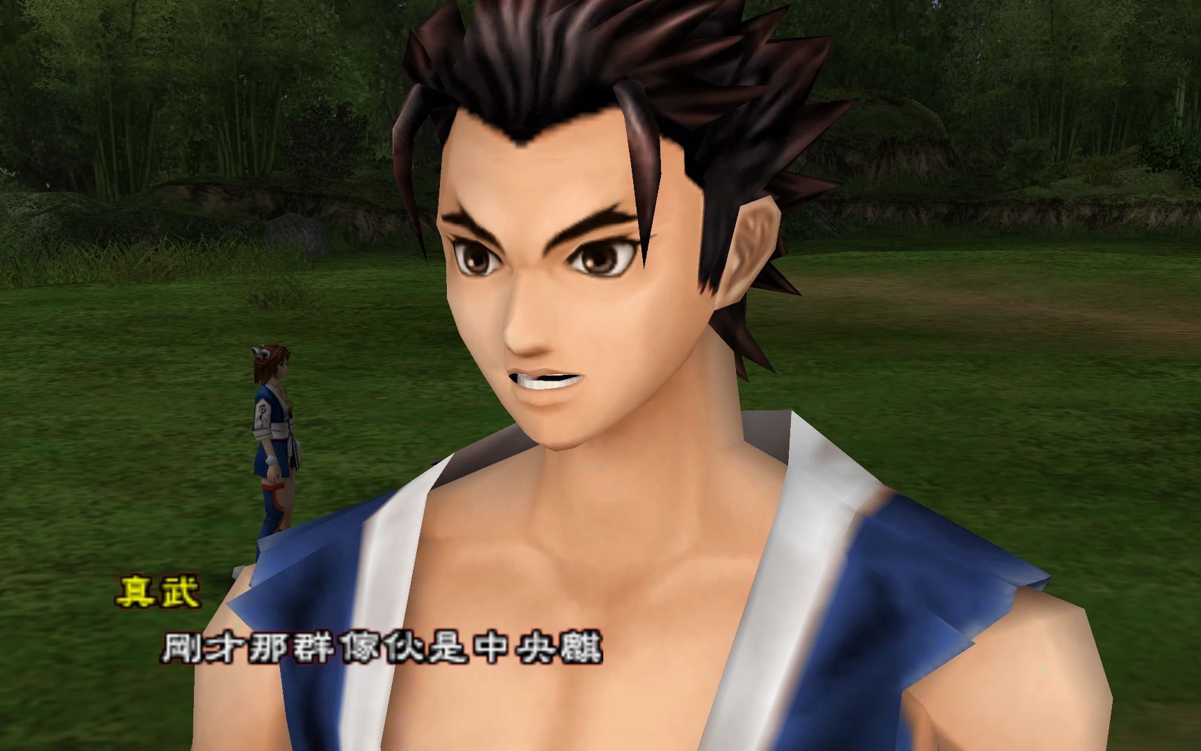 psp《天地之门1》模拟器测试