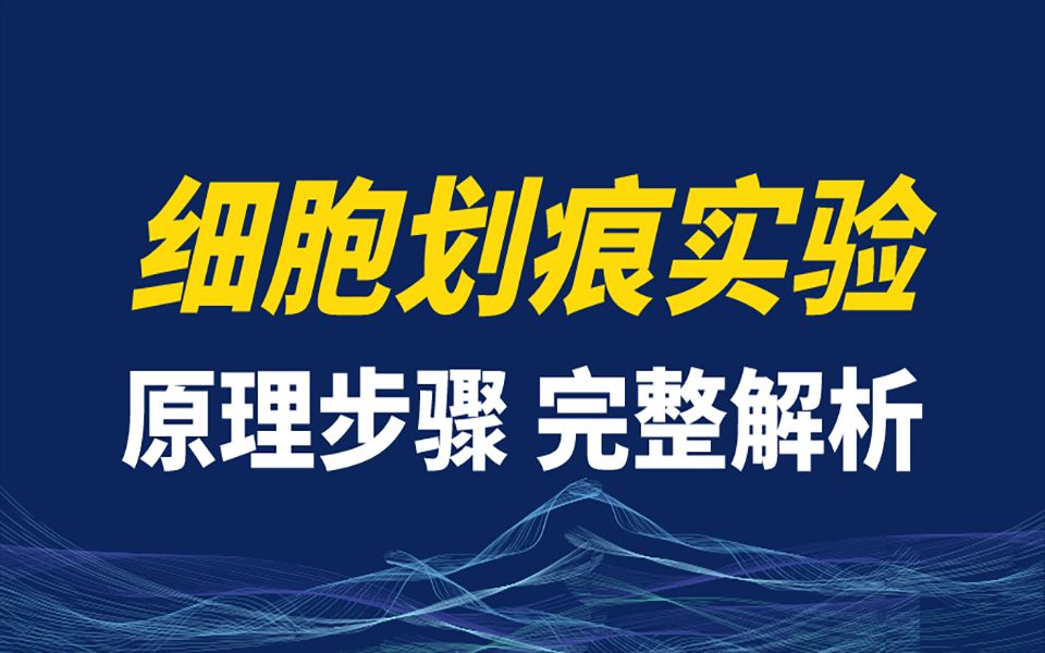 细胞迁移侵袭 | transwell,细胞划痕,染色技术的实验原理,实验设计全面解析哔哩哔哩bilibili