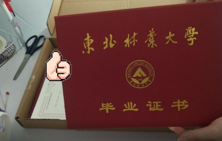 网购的东北林业大学文凭开箱视频(不是哔哩哔哩bilibili