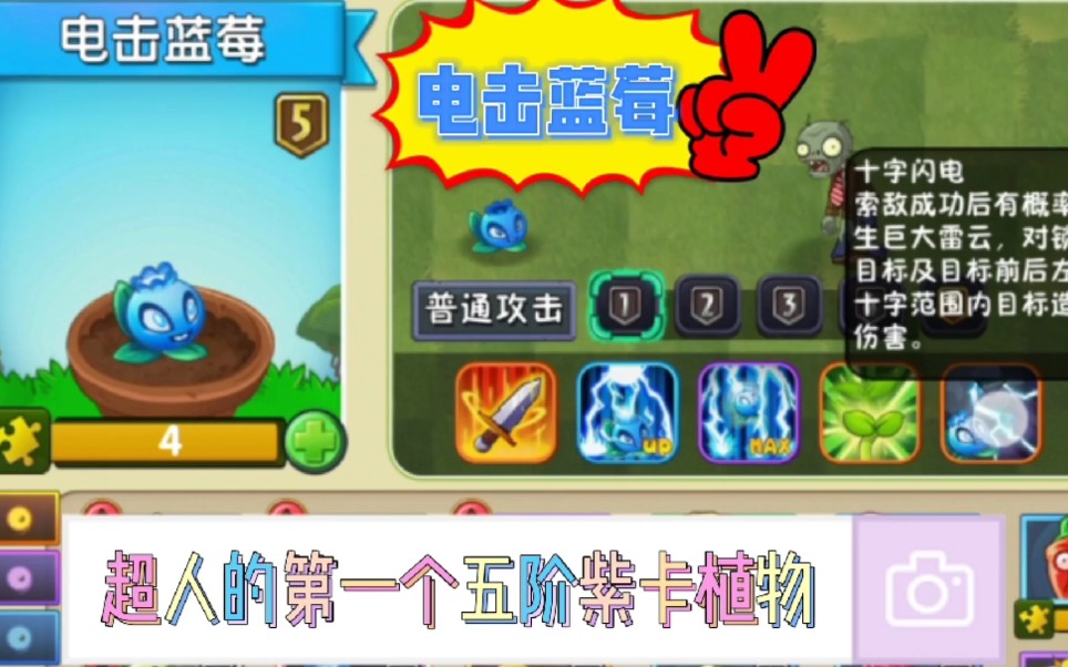 植物大战僵尸2超人的第一个五阶紫卡植物就是电击蓝莓啦