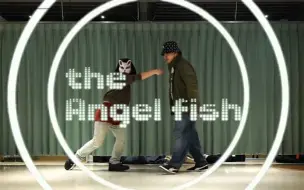 Video herunterladen: 【HIGE】Angelfish【NA$A】