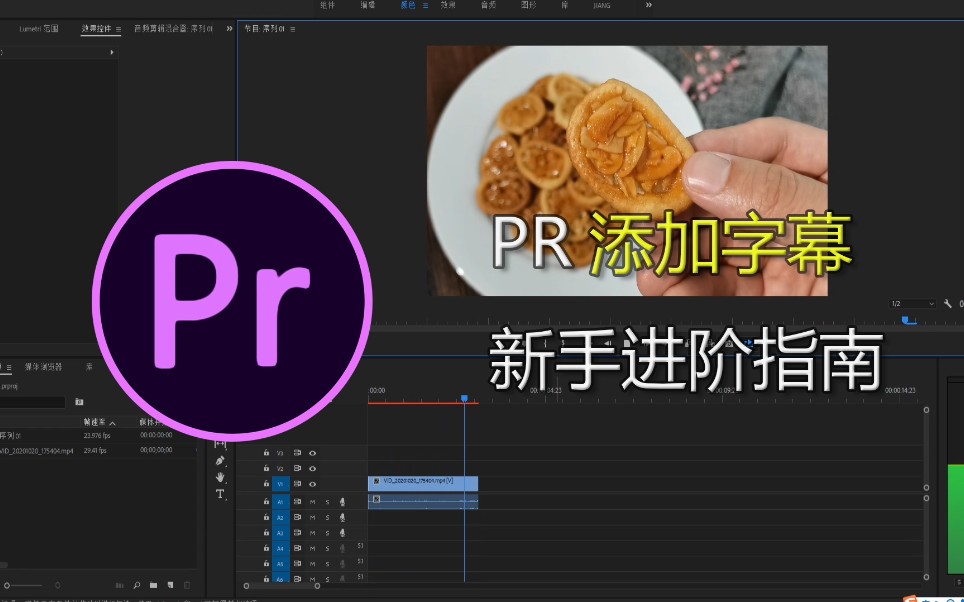 PR新手教程,利用文本工具给视频添加标题字幕哔哩哔哩bilibili