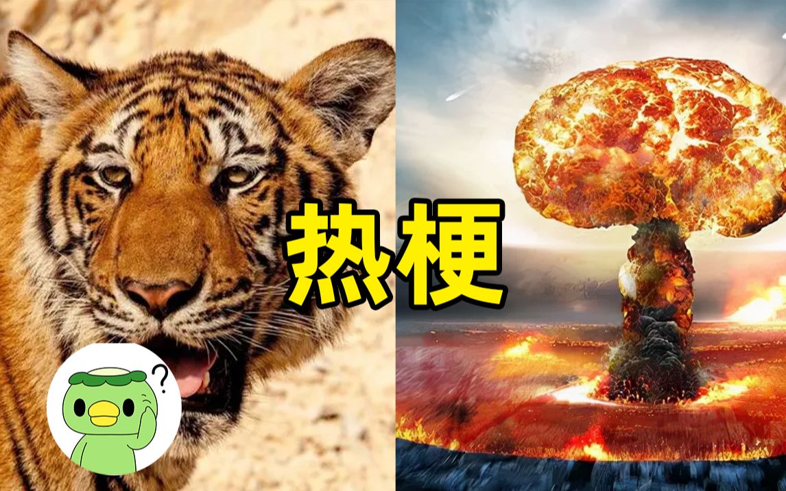 [图]【断网补全计划11】老虎和核弹哪个更猛？诺克萨斯狂想曲，缅北预选赛，沈继科，难忘今削，马琳十八摸，反向饮食癖好，天外来客，oscar&friends，童年不让做