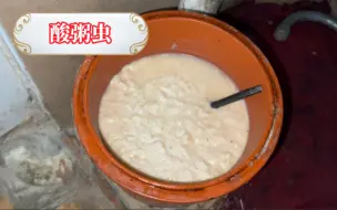 小伙做道“酸粥虫”美食，惹怒了大半个广西，骂声一片