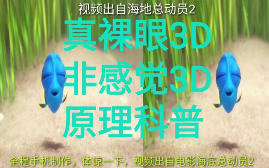 真裸眼3D,原理科普(重制版看简介)(只需要1个手机),左右格式画面视频哔哩哔哩bilibili