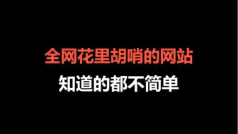 全网花里胡哨的网站