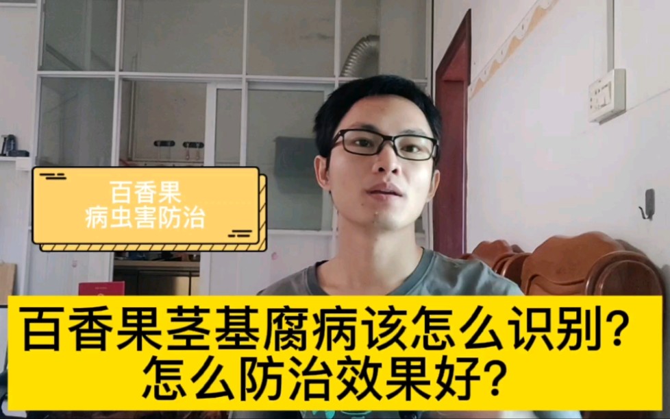 百香果茎基腐病该怎么识别?怎么防治效果更好?哔哩哔哩bilibili