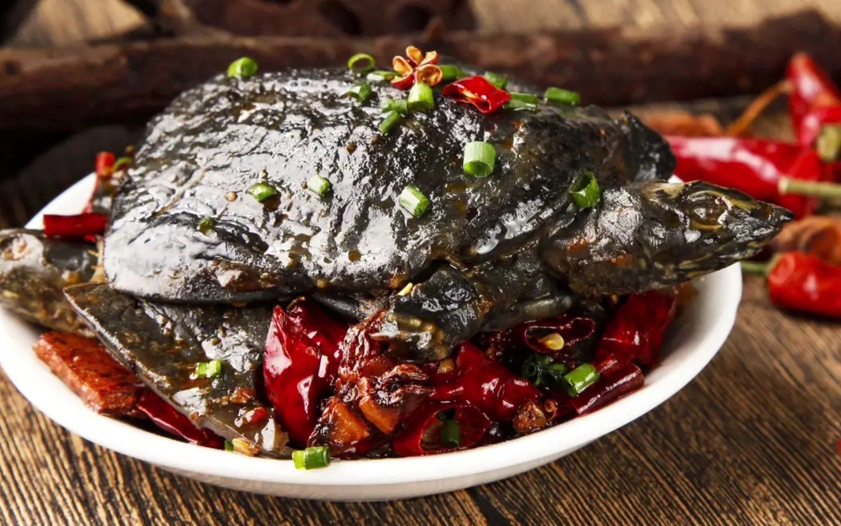 麻辣小甲鱼叫卖广告录音试听