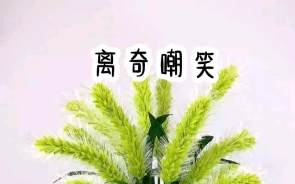 铭《离奇嘲笑》小说推文哔哩哔哩bilibili