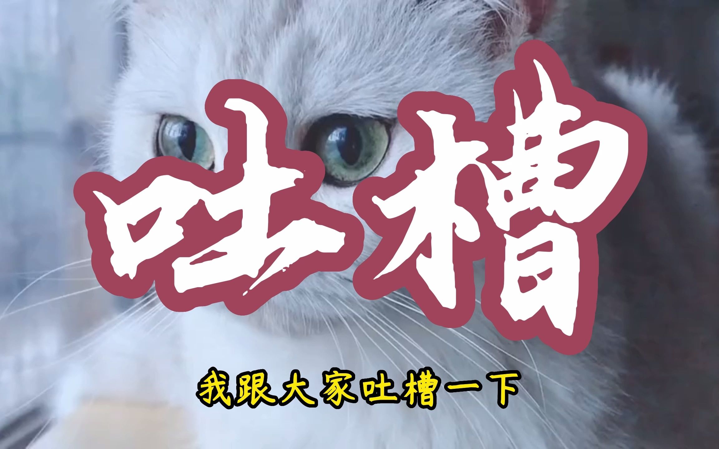 【便宜大牌猫粮等猫用品】山姆membersmark猫粮哔哩哔哩bilibili