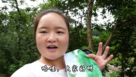 用自家院子刚摘的白菜苗做一道新鲜田园菜、健康美味的素食主义_哔哩哔 